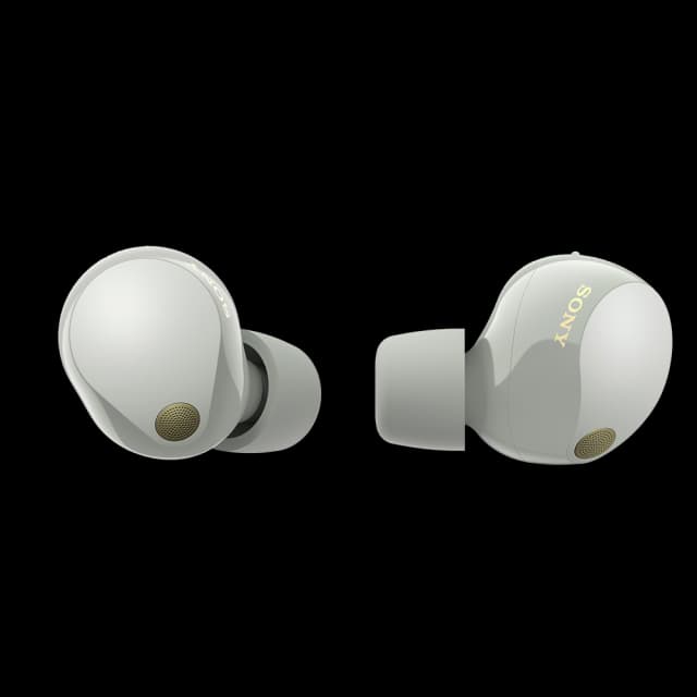 Sony WF-1000XM5 Image